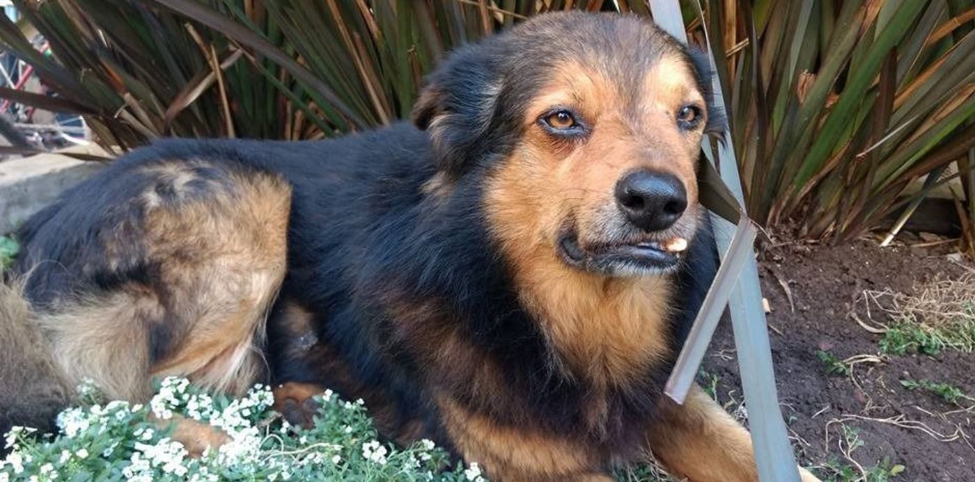 1524766106246.jpg?x=13&y=19&width=939&height=470&rotate=0&scaleX=1&scaleY=1&ow=960&oh=540&&cw=1920&ch=950