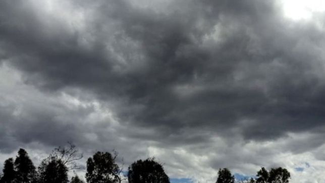 fresco y nublado: asi va seguir el clima en la plata a lo largo de la semana