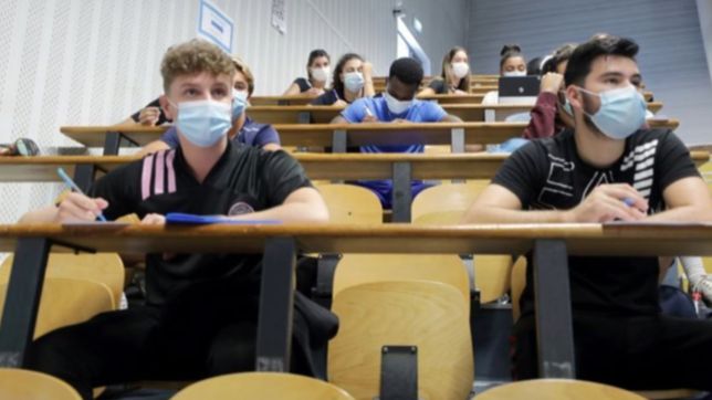 obligatorio, superior, enfermeria y trabajo: ¿como son los 4 tipos de becas progresar?