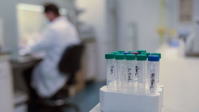 el ministerio de salud argentino analiza el primer caso sospechoso de viruela del mono