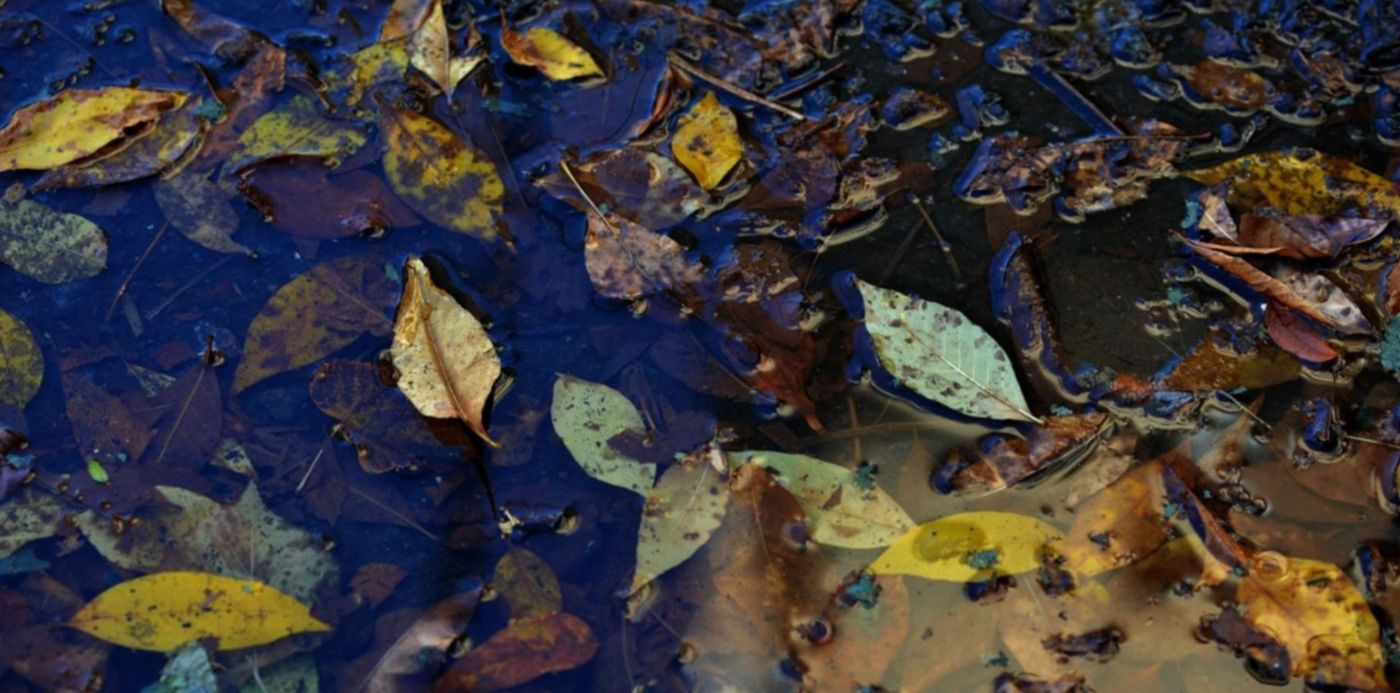 1554980309188.jpg?width=1473&scaleY=1&height=737&rotate=0&scaleX=1&ow=1500&oh=997&x=10&y=135&&cw=1920&ch=950