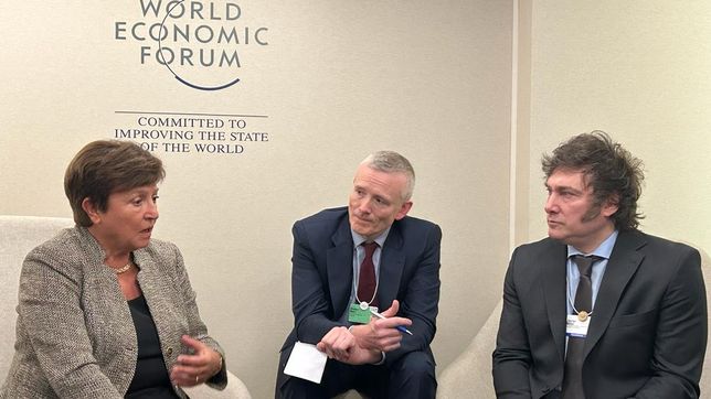 el fmi califico de muy buena la reunion con javier milei en davos