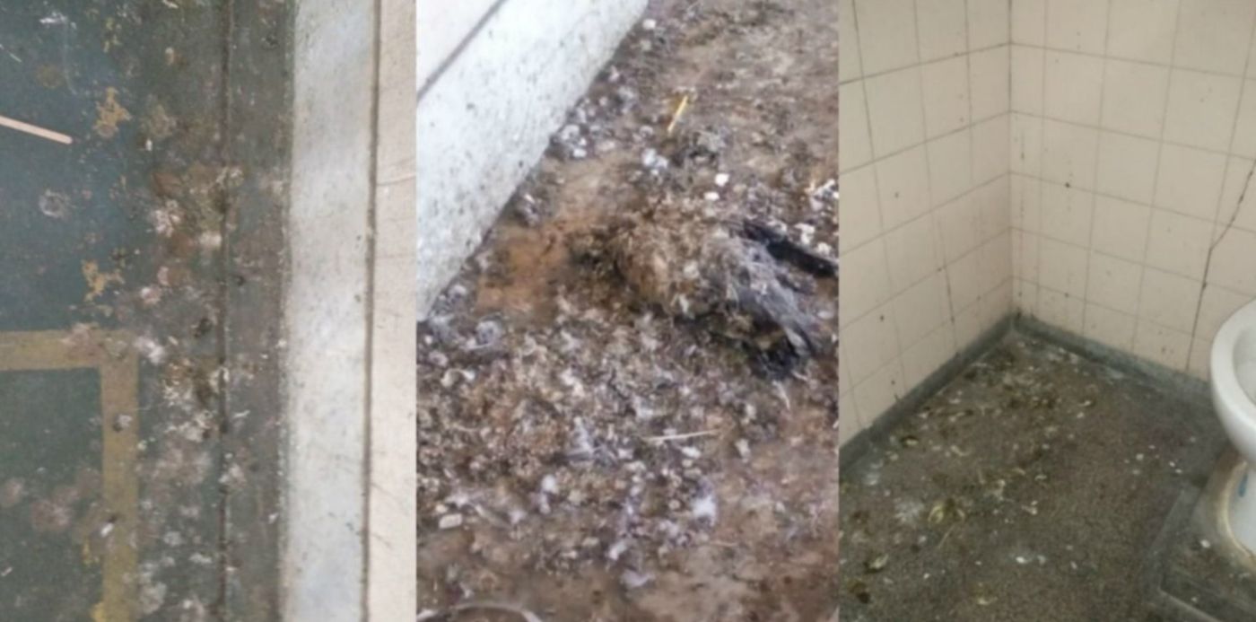 1574279326763.jpg?x=1&height=748&scaleX=1&ow=1500&y=36&width=1495&rotate=0&scaleY=1&oh=784&&cw=1920&ch=950