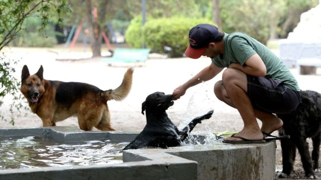 defensa civil lanzo un alerta amarillo por el intenso calor que se avecina en la region