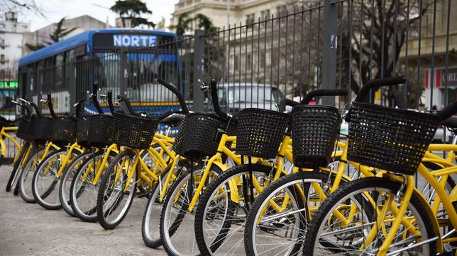 retiraron las estaciones de bicicletas gratis de la plata y estallo la polemica