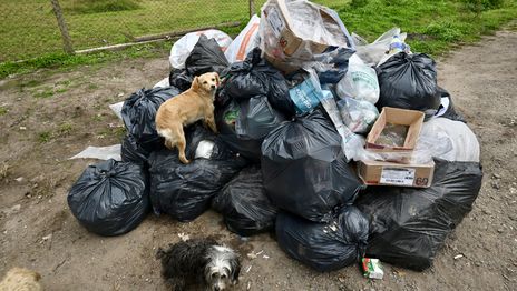 Vecinos cargaron contra la municipalización de la recolección de basura