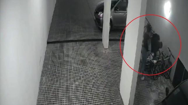 la pareja de ladrones que robo a metros de la ddi volvio a atacar en otro edificio centrico