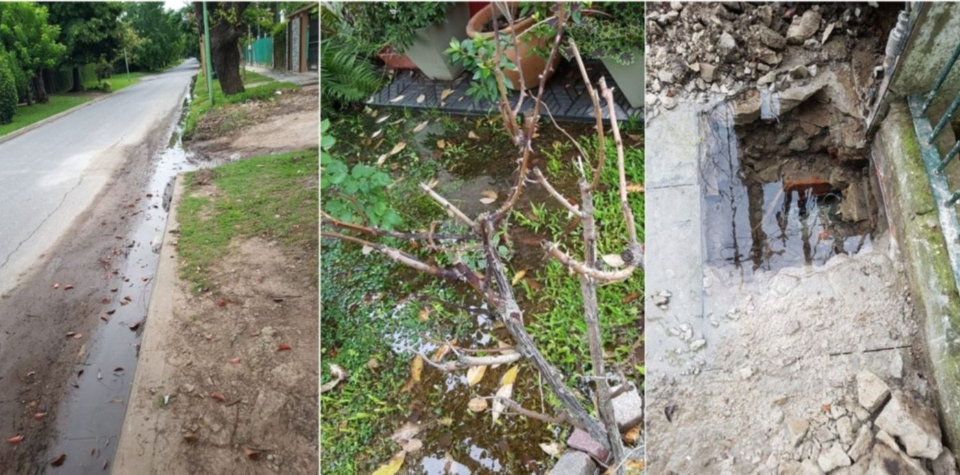 1547240198532.jpg?scaleY=1&oh=742&y=0&width=1479&scaleX=1&ow=1500&x=10&height=740&rotate=0&&cw=1920&ch=950