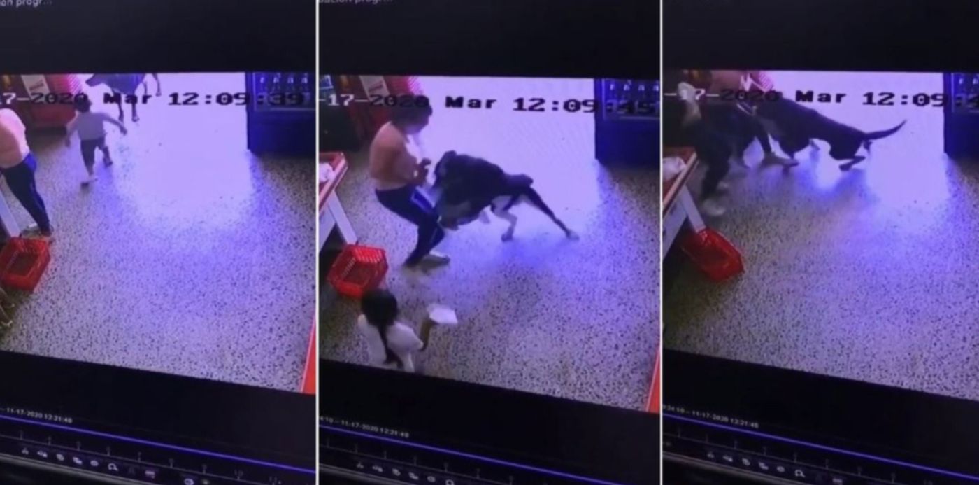 1605702956605.jpg?x=40&y=16&width=1427&height=713&rotate=0&scaleX=1&scaleY=1&ow=1500&oh=742&&cw=1920&ch=950