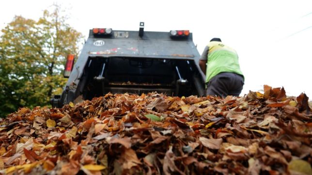 el smn revelo que este otono fue uno de los tres mas calurosos en los ultimos 62 anos
