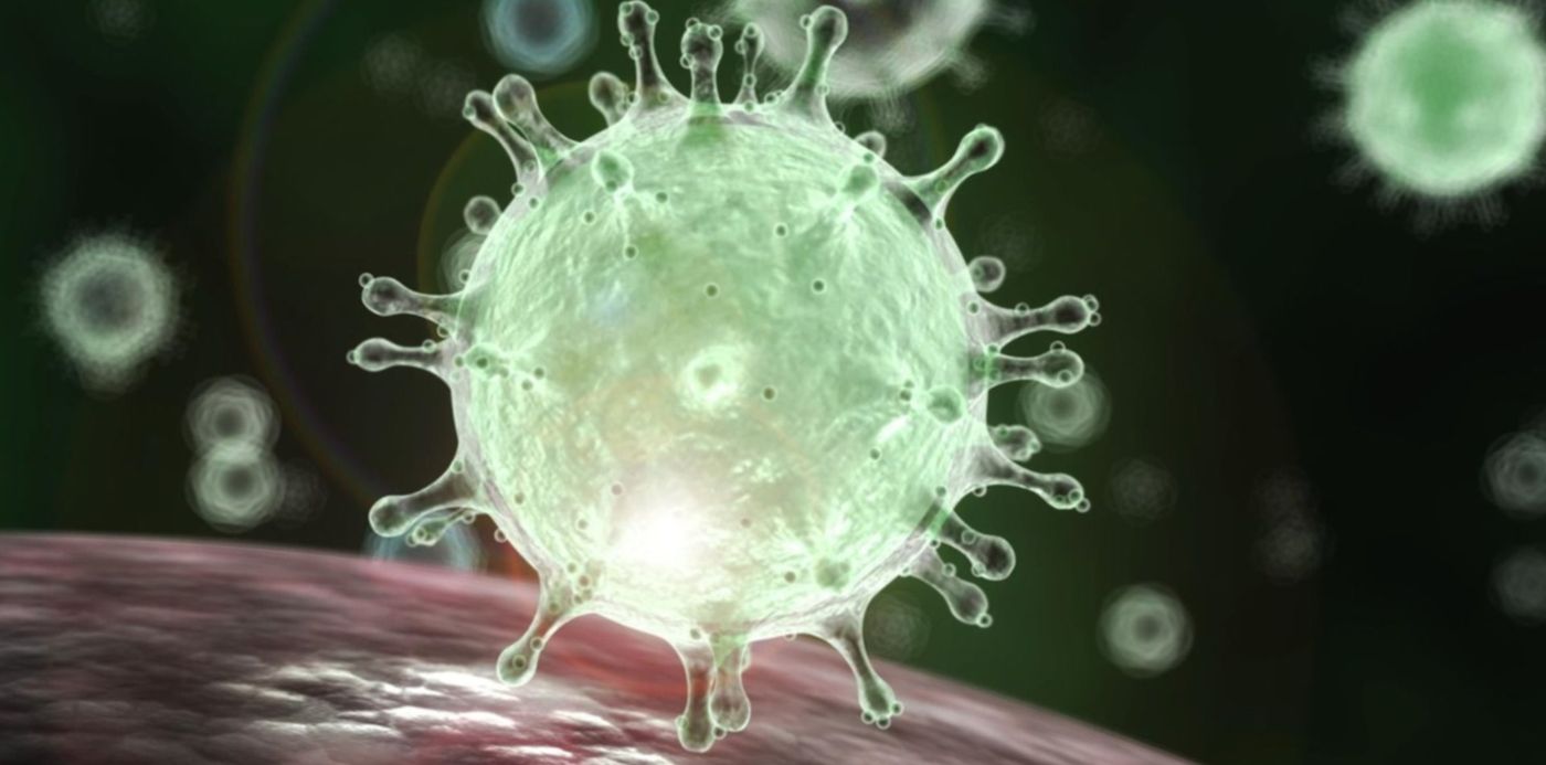 1580068415436.jpg?x=8&y=188&width=1485&height=743&rotate=0&scaleX=1&scaleY=1&ow=1500&oh=1125&&cw=1920&ch=950