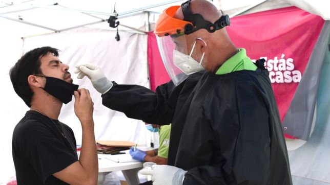 coronavirus en la plata: 817 nuevos casos y cuatro muertes