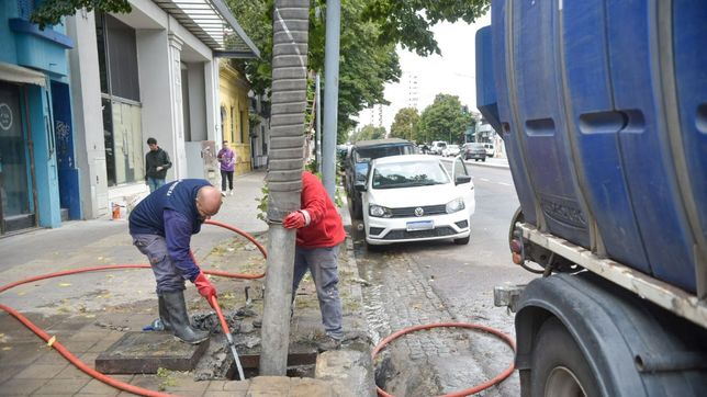 por las lluvias, intensificaron en la plata la limpieza de los 4.000 sumideros