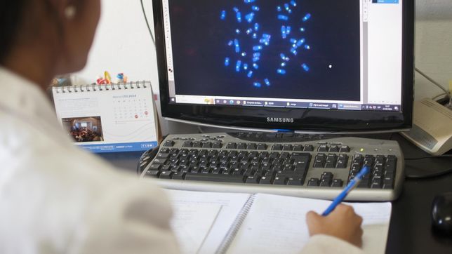 cientificos de la unlp estudian un novedoso metodo para el tratamiento contra el cancer