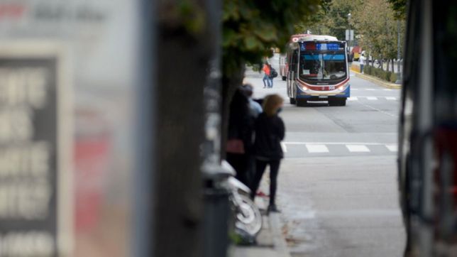 dictan la conciliacion obligatoria y se normalizaria el servicio de micros en la plata