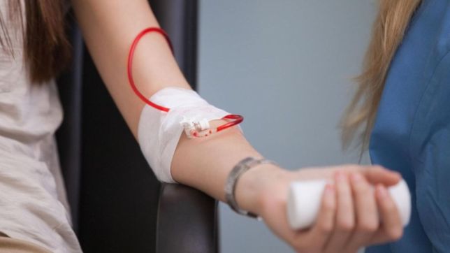la plata realiza una gran jornada de donacion de sangre: quienes y como pueden hacerlo