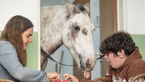 Los beneficios del tratamiento asistido con caballos para pacientes con dificultades emocionales Los beneficios del tratamiento asistido con caballos para pacientes con dificultades emocionales