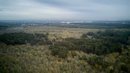 organizaciones ambientalistas reclaman medidas para resguardar la fauna del parque pereyra