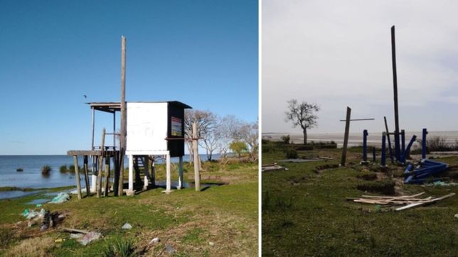 denuncian que cagliardi destruyo puestos de guardavidas en la balandra: es un cobarde