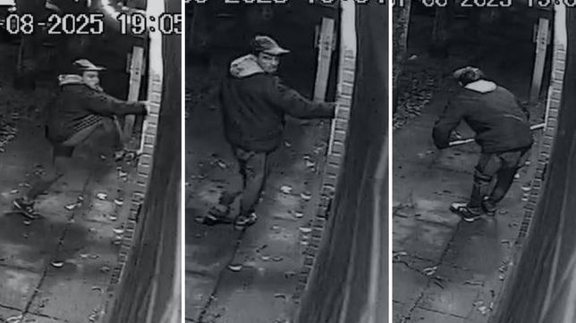 un ladron se paso 5 minutos intentando entrar a una casa, pero no pudo y quedo filmado