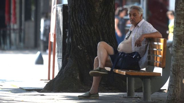 tras los alertas y la lluvia, ¿que va a pasar con el clima en la plata?