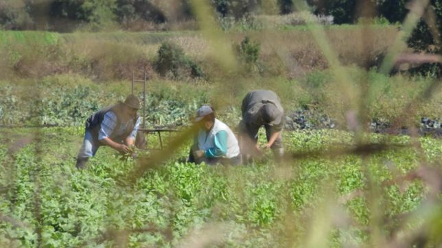buscan desarrollar proyectos para beneficiar a productores rurales de la plata
