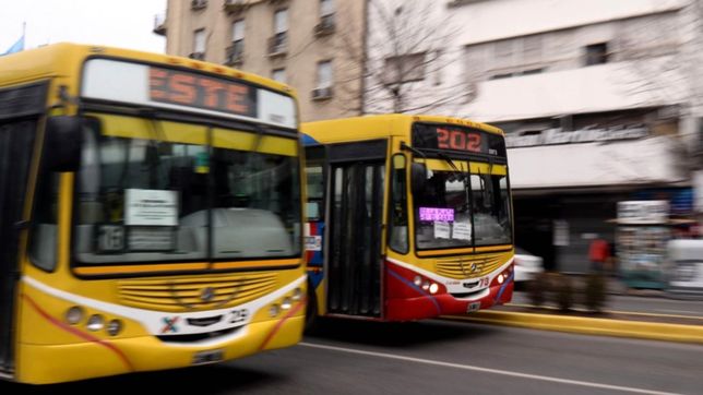 lanzaron una encuesta sobre el uso del transporte publico en la plata