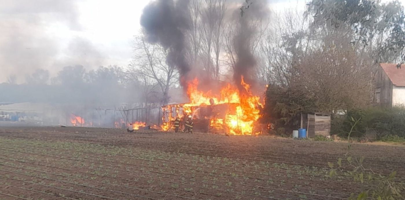 1687990714927.jpg?x=4&y=53&width=1492&height=745&rotate=0&scaleX=1&scaleY=1&ow=1500&oh=843&&cw=1920&ch=950