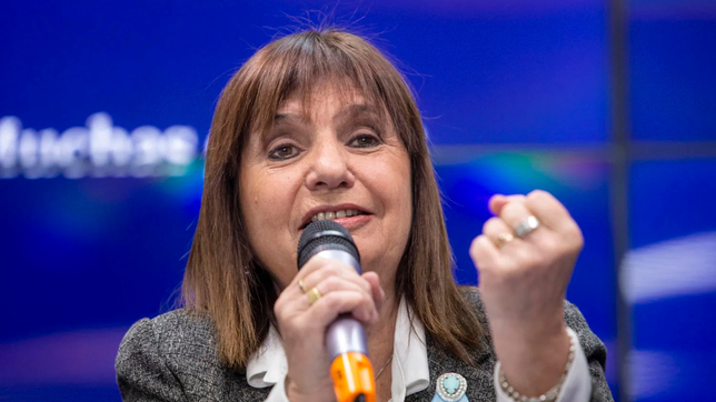 patricia bullrich denuncio a tapia y toviggino ante la conmebol