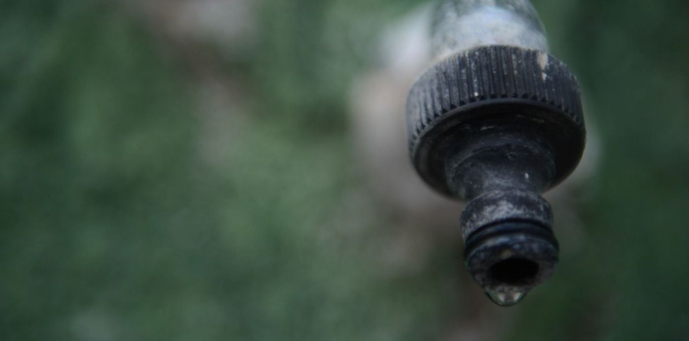 1580776083484.jpg?x=21&y=230&width=1458&height=729&rotate=0&scaleX=1&scaleY=1&ow=1500&oh=996&&cw=1920&ch=950