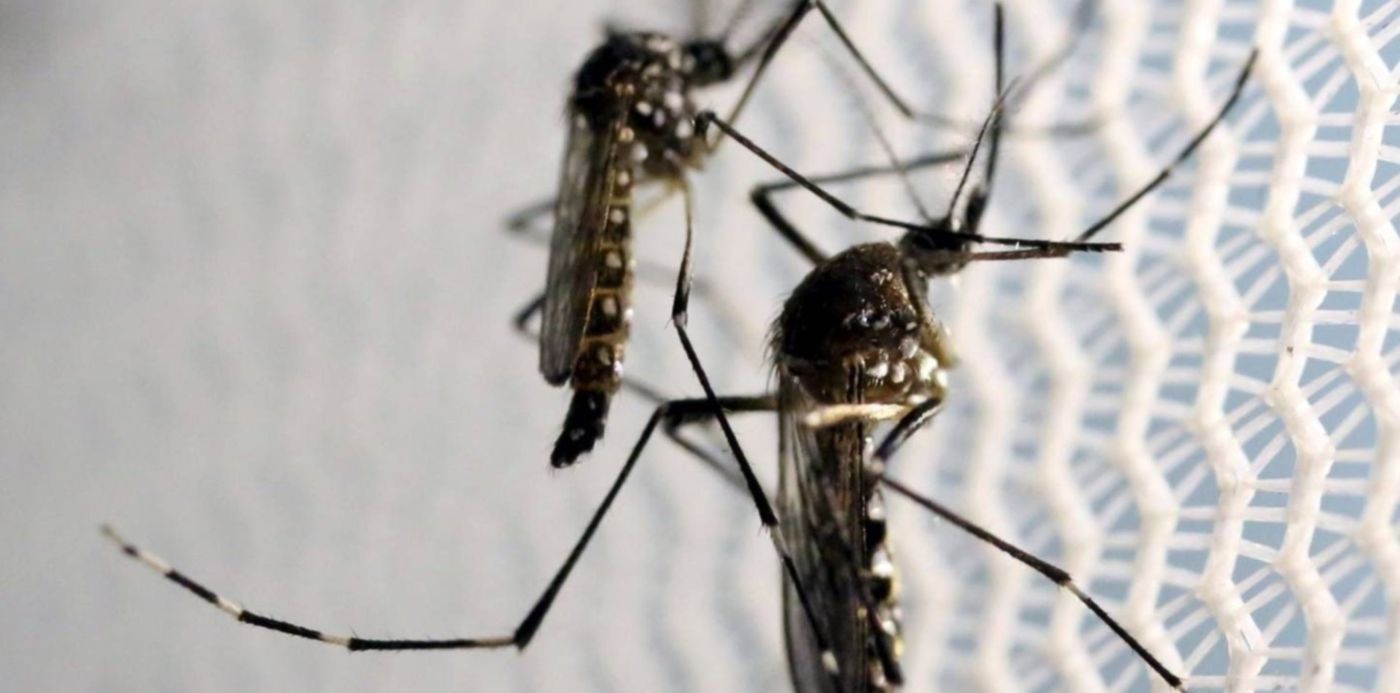 1582765968483.jpg?x=7&y=104&width=1450&height=726&rotate=0&scaleX=1&scaleY=1&ow=1464&oh=976&&cw=1920&ch=950