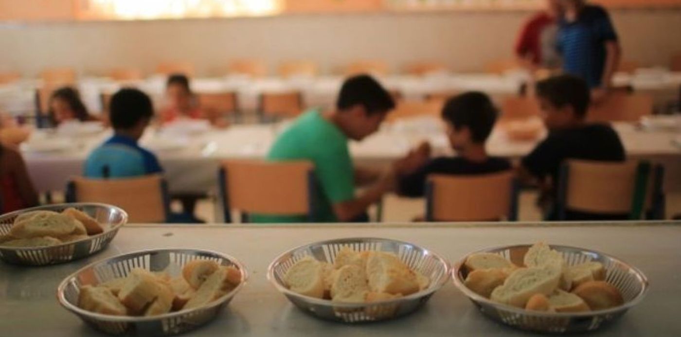 1528828236374.jpg?y=118&scaleX=1&ow=800&x=16&width=783&height=391&rotate=0&scaleY=1&oh=579&&cw=1920&ch=950