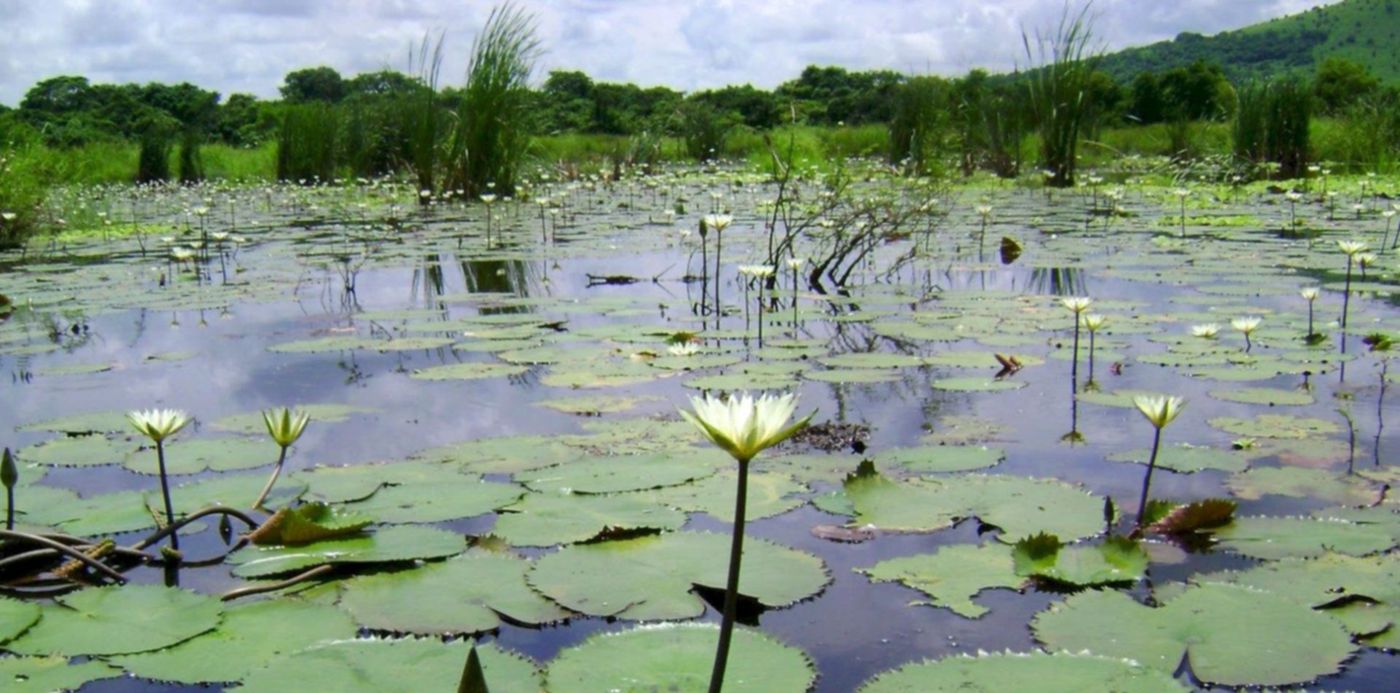 1677495436781.jpg?x= 8&y=0&width=1516&height=758&rotate=0&scaleX=1&scaleY=1&ow=1500&oh=870&&cw=1920&ch=950