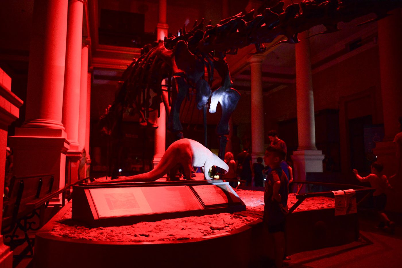 Museos a la luz de la Luna Museo de Ciencias Naturales (5).jpeg