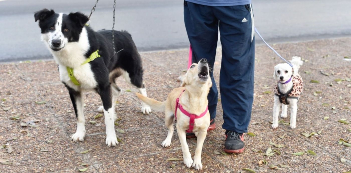 1623708457876.jpg?x=4&y=238&width=1492&height=746&rotate=0&scaleX=1&scaleY=1&ow=1500&oh=1016&&cw=1920&ch=950