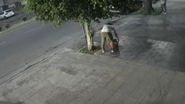 video: le robaron una planta de la vereda y los ladrones quedaron filmados