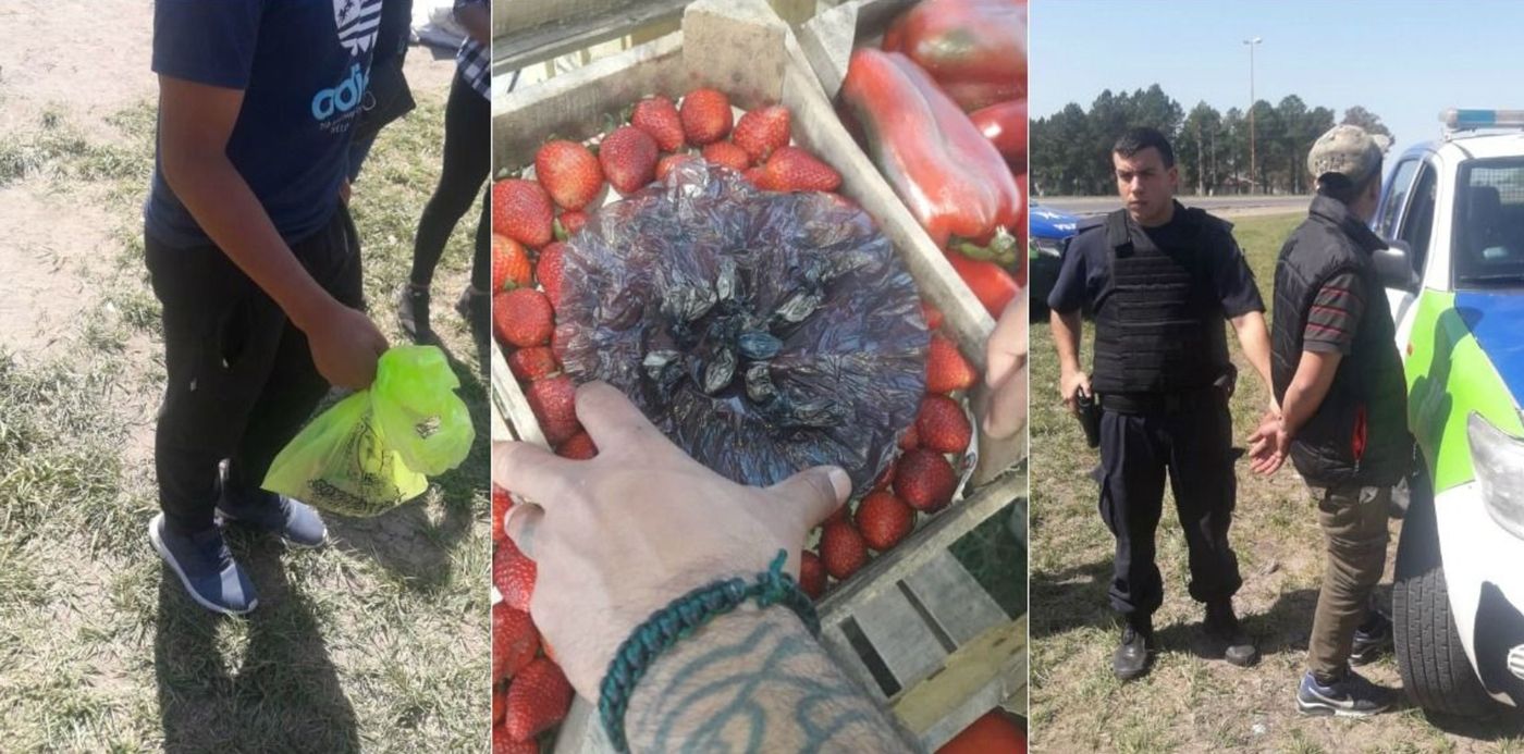 1569779318924.jpg?scaleY=1&ow=1200&oh=576&x=34&y=4&width=1133&rotate=0&height=566&scaleX=1&&cw=1920&ch=950