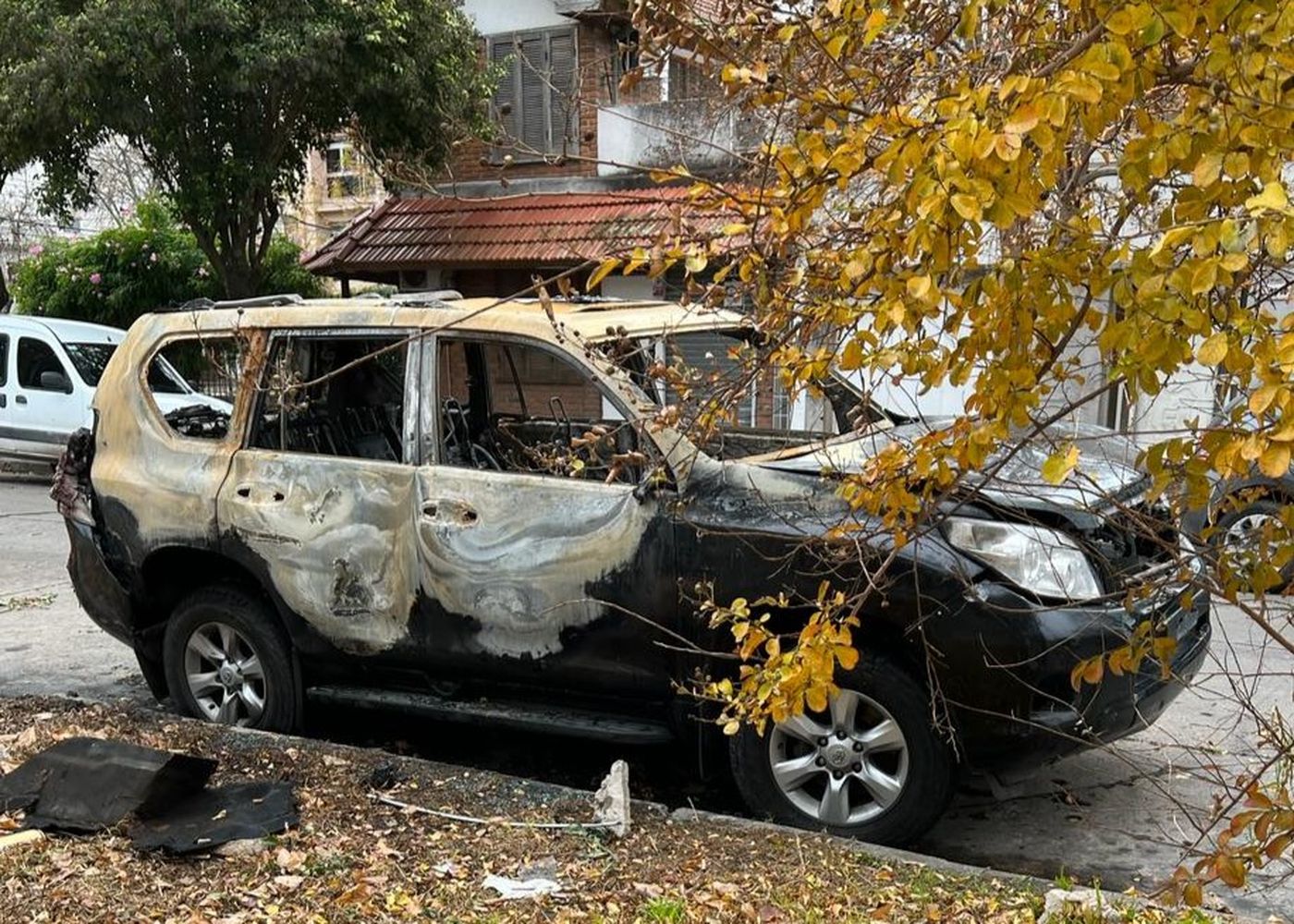 WhatsApp Image 2024-05-30 at 17.17.31. angang.jpeg