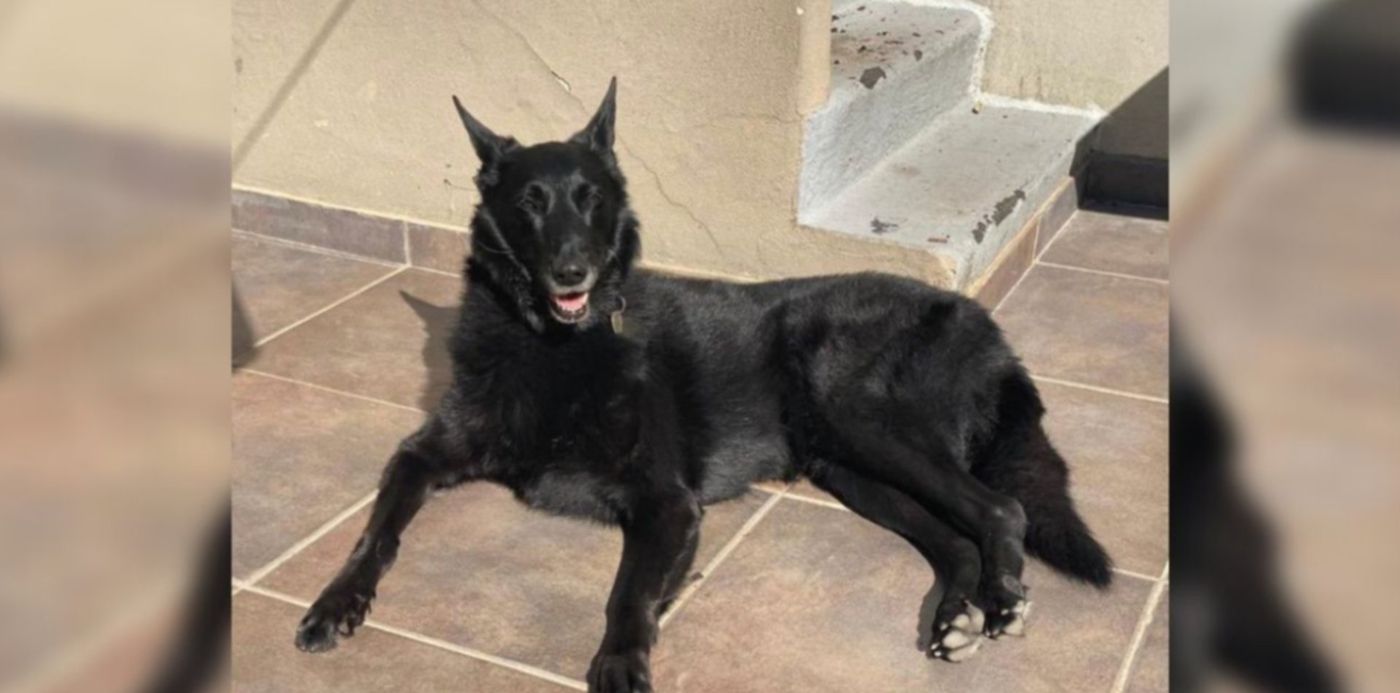 1622506962993.jpg?x=33&y=4&width=1284&height=642&rotate=0&scaleX=1&scaleY=1&ow=1350&oh=650&&cw=1920&ch=950