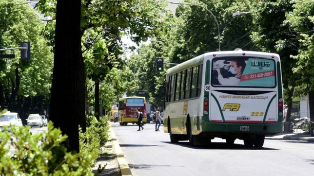 reducen la frecuencia de micros en la plata y advierten por demoras en el servicio