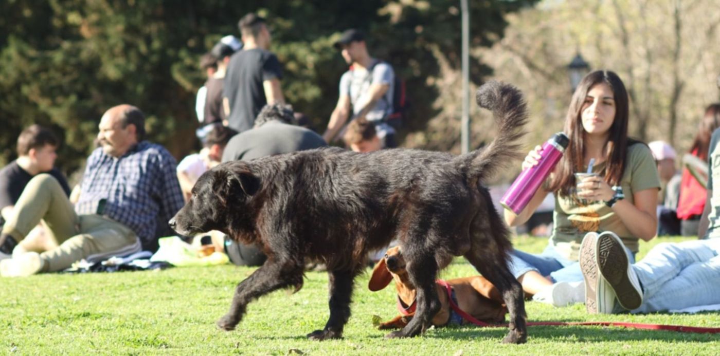 1632757333500.jpg?x=10&y=110&width=1483&height=742&rotate=0&scaleX=1&scaleY=1&ow=1500&oh=1000&&cw=1920&ch=950