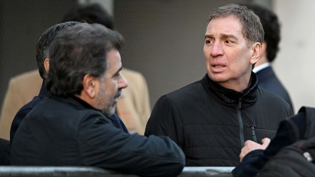 apuran el tratamiento de la apelacion para que diego santilli encabece la lista