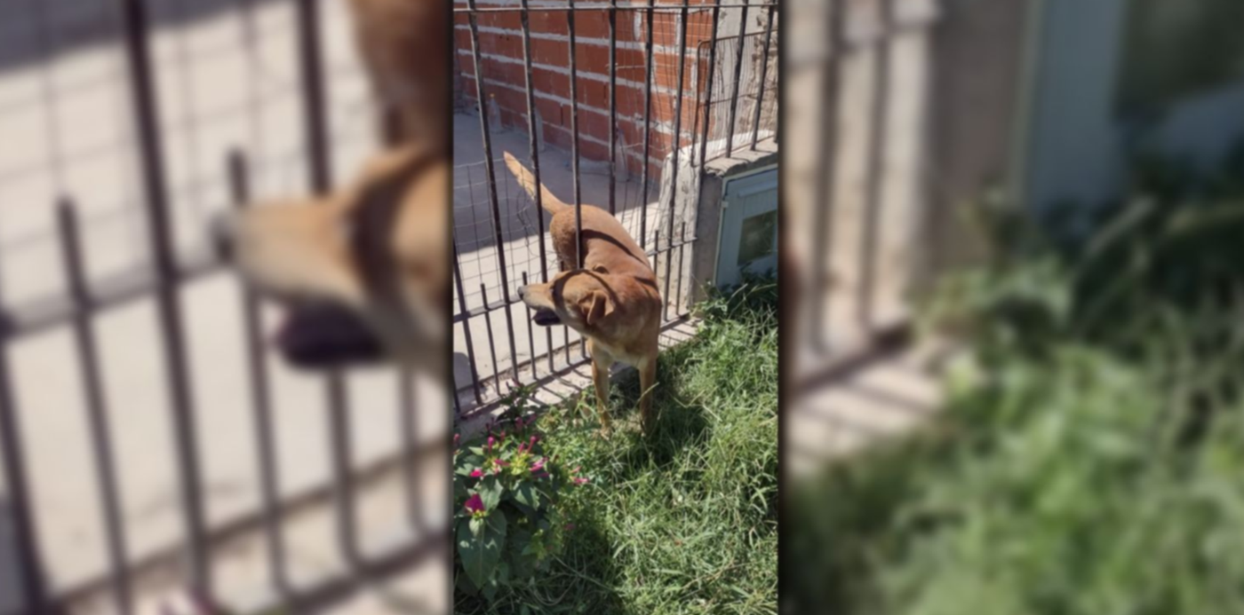 1676907063885.jpg?x=23&y=7&width=1469&height=735&rotate=0&scaleX=1&scaleY=1&ow=1500&oh=742&&cw=1920&ch=950