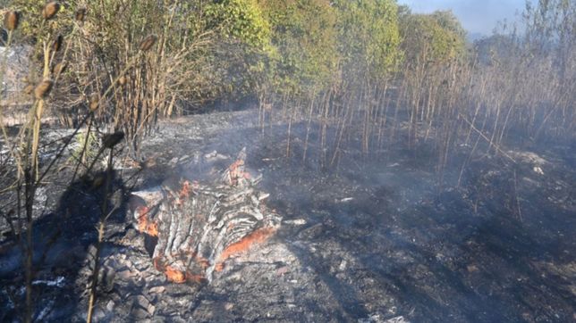 un dia despues del incendio en la cantera siguieron controlando pequenos focos