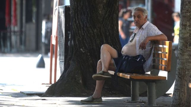 alerta por el viento y ola de calor, asi va a estar el clima esta semana en la plata