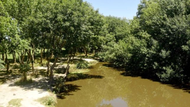 la polemica por los loteos en el humedal del arroyo el pescado llego al concejo