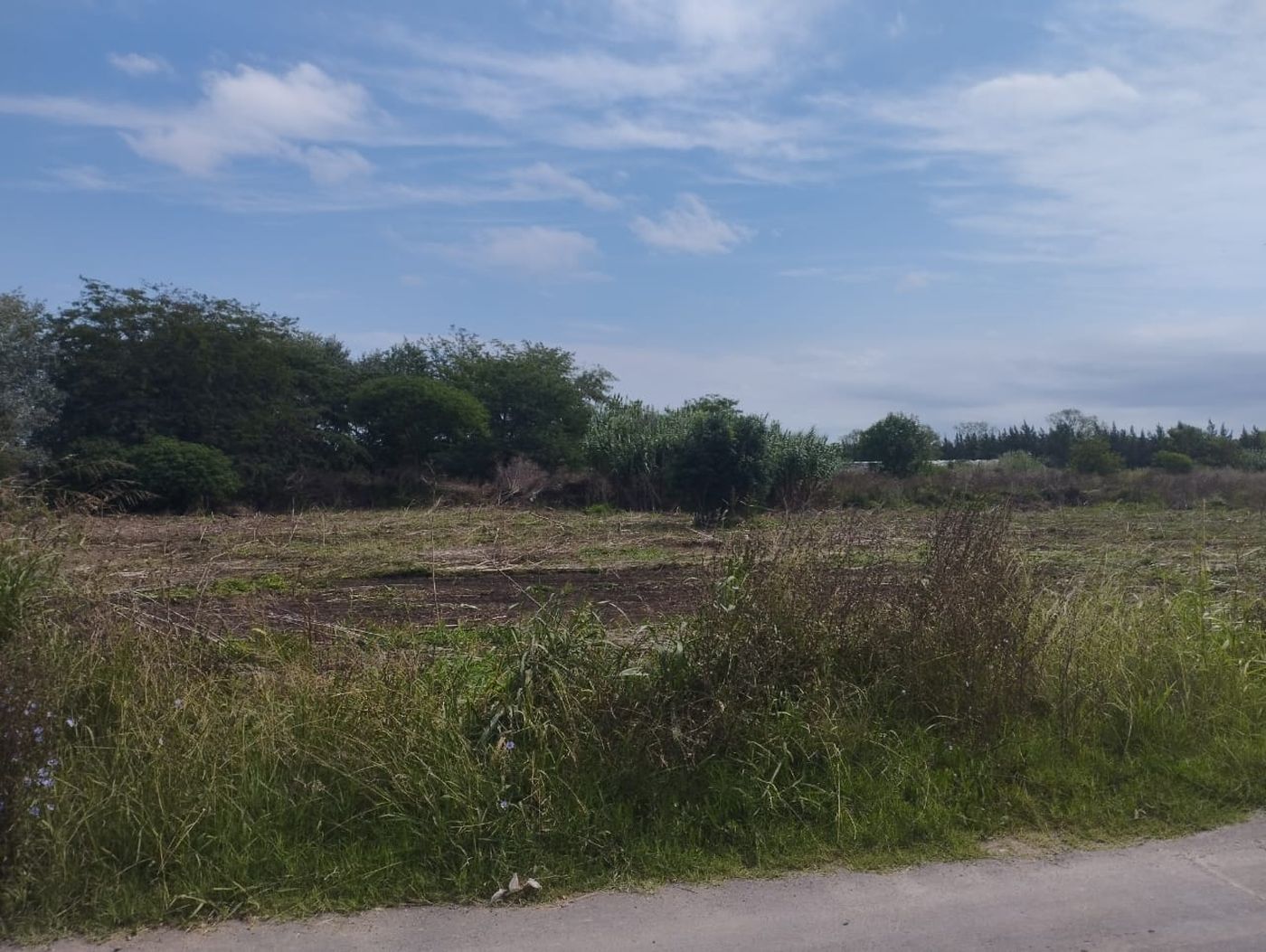 WhatsApp Image 2024-02-29 at 16.29.28.jpeg