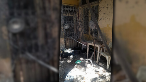 Hallan animales muertos dentro de una vivienda e investigan qué ocurrió
