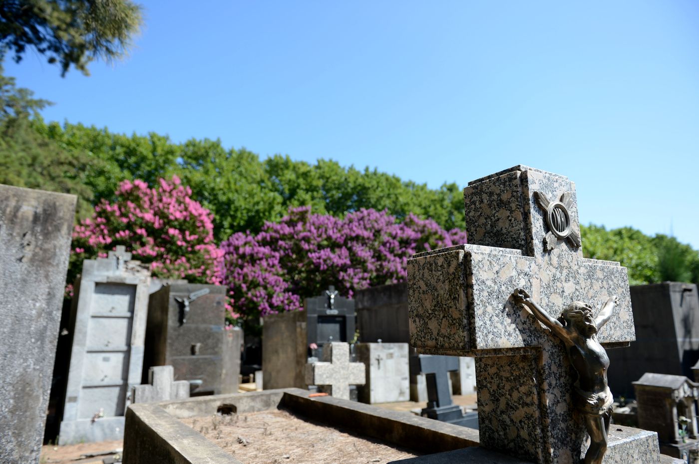 Cementerio de La Plata (1).jpg