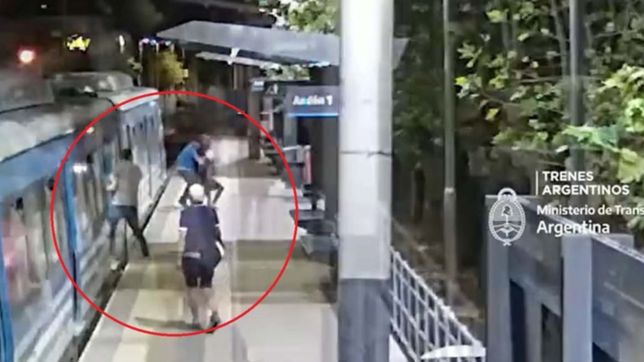 video: robo, corridas, persecucion y un detenido en el tren roca